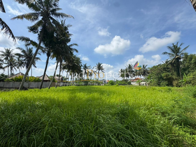 Ubud Property Land For Sale in Ubud Bali